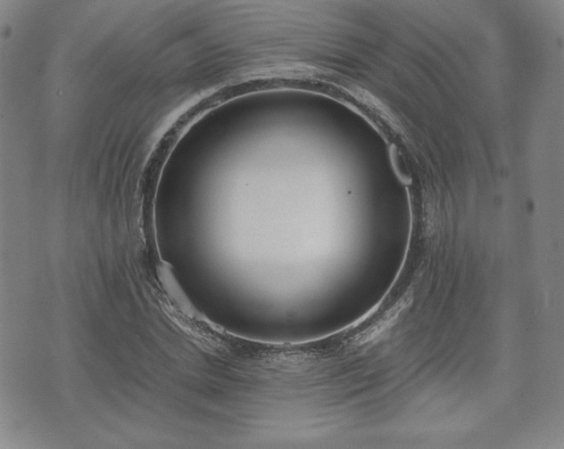 X0000073450830200608041025