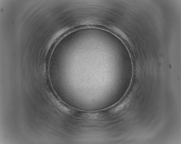 X0000073450831200608041025