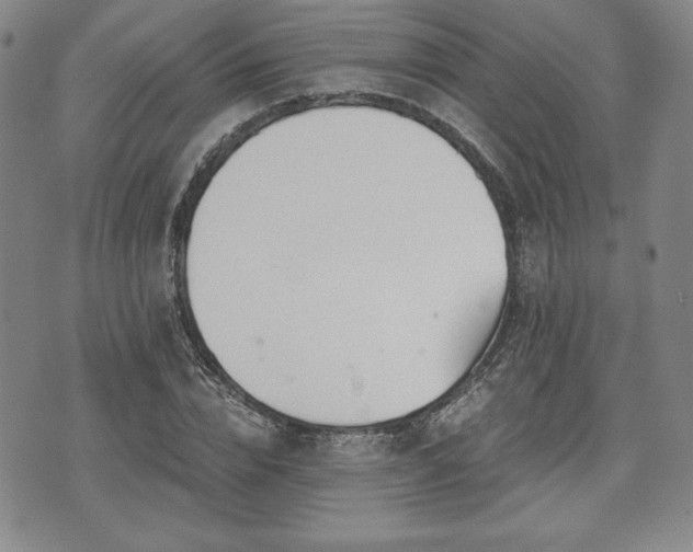 X0000073450832200608041025