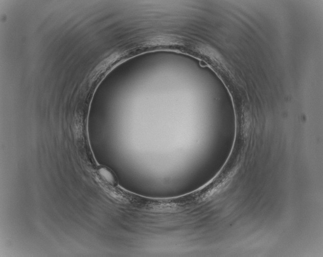 X0000073450833200608041025