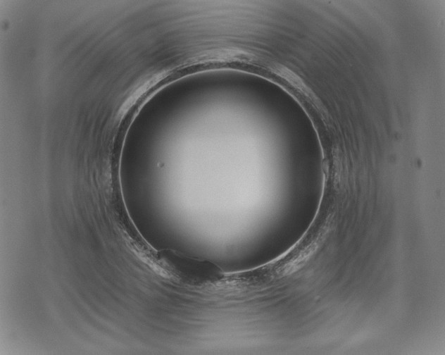 X0000073450834200608041025