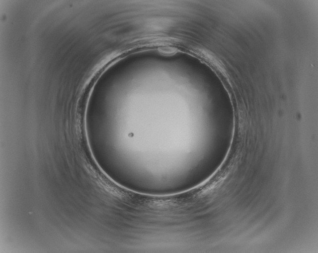 X0000073450835200608041025