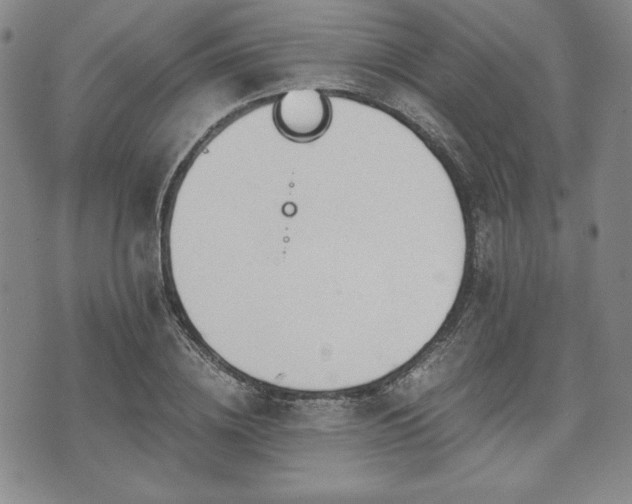 X0000073450836200608041025