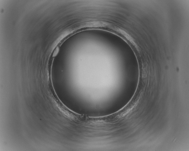 X0000073450837200608041025