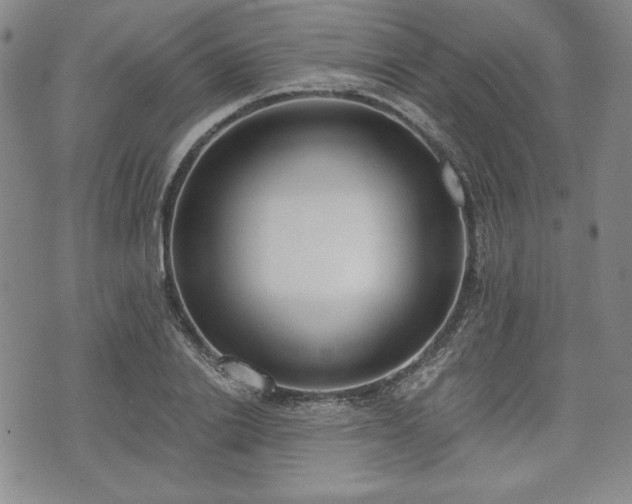 X0000073450838200608041025