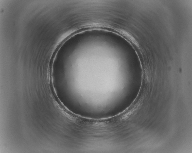 X0000073450839200608041025