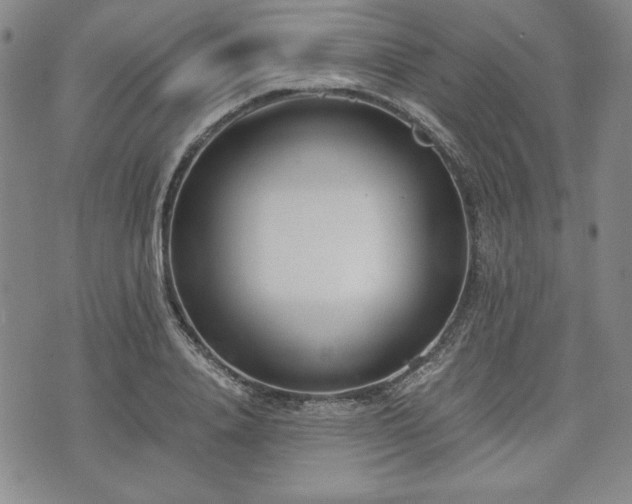 X0000073450840200608041025