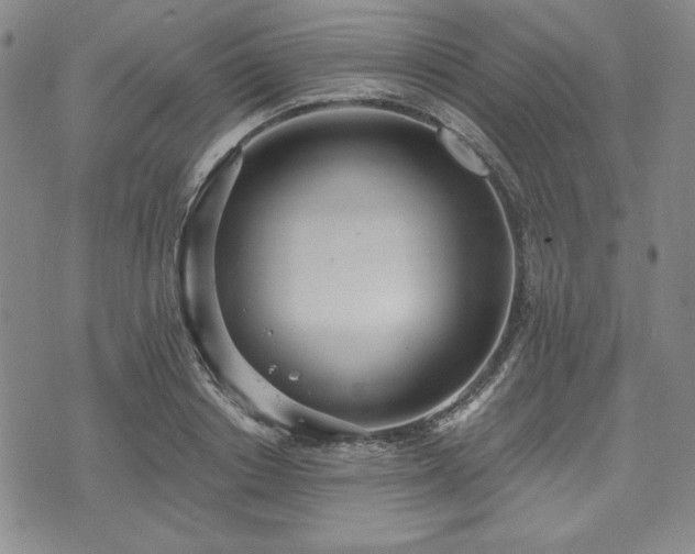 X0000073450842200608041026