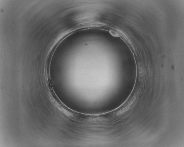 X0000073450843200608041026