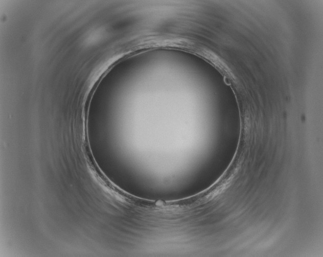 X0000073450844200608041026