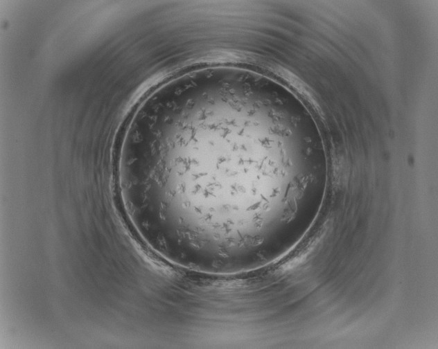 X0000073450845200608041026