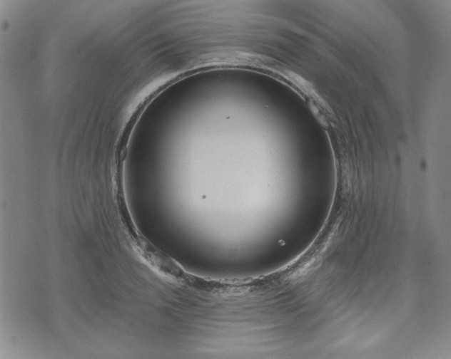 X0000073450846200608041026