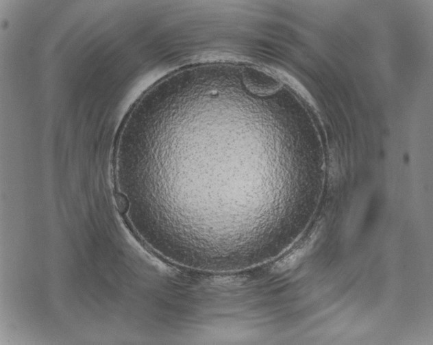 X0000073450847200608041026