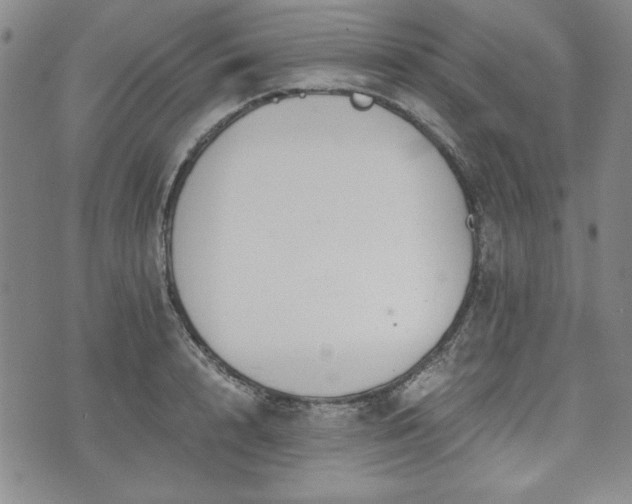 X0000073450848200608041026