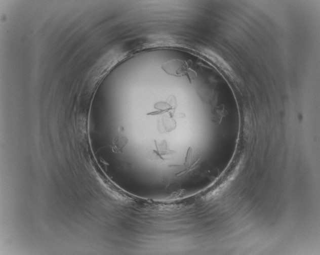 X0000073450849200608041026