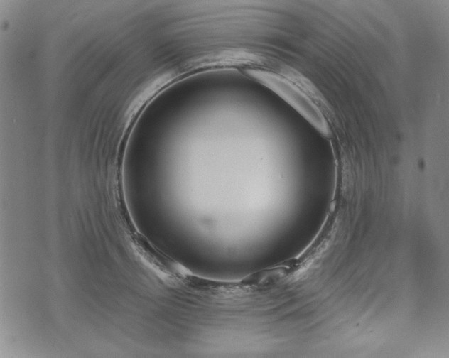 X0000073450850200608041026