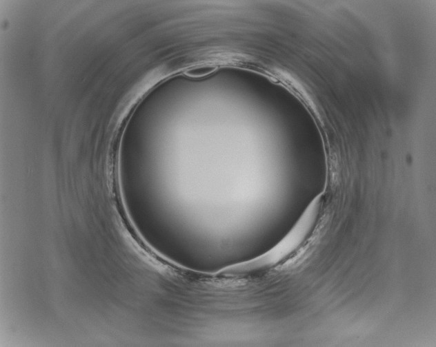 X0000073450851200608041026