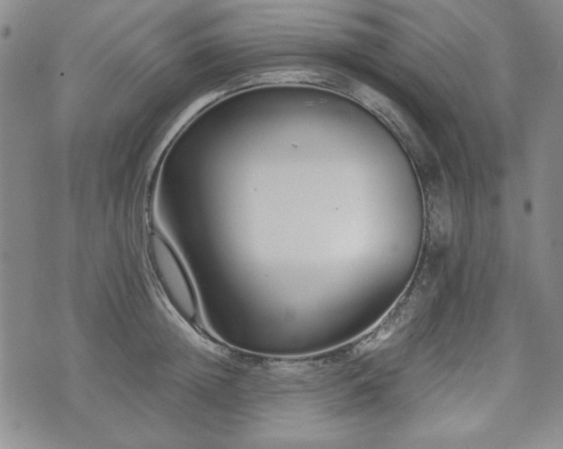 X0000073450852200608041026