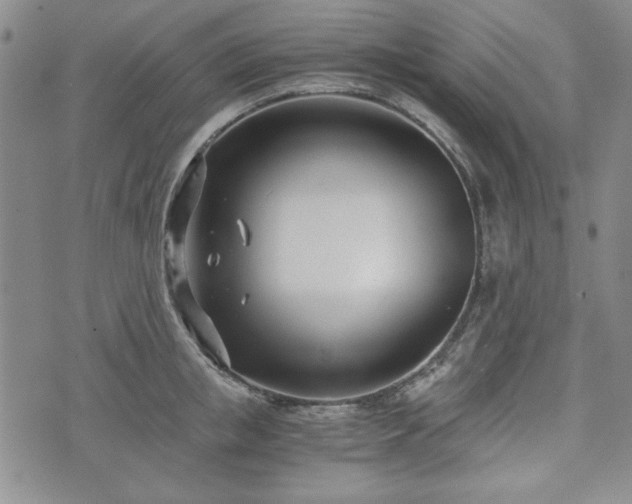 X0000073450853200608041026