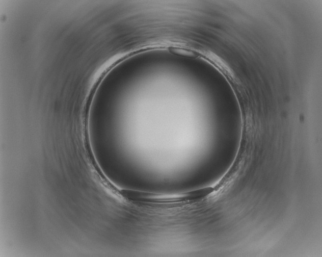 X0000073450854200608041026