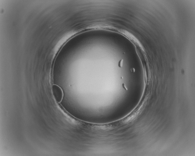 X0000073450855200608041026