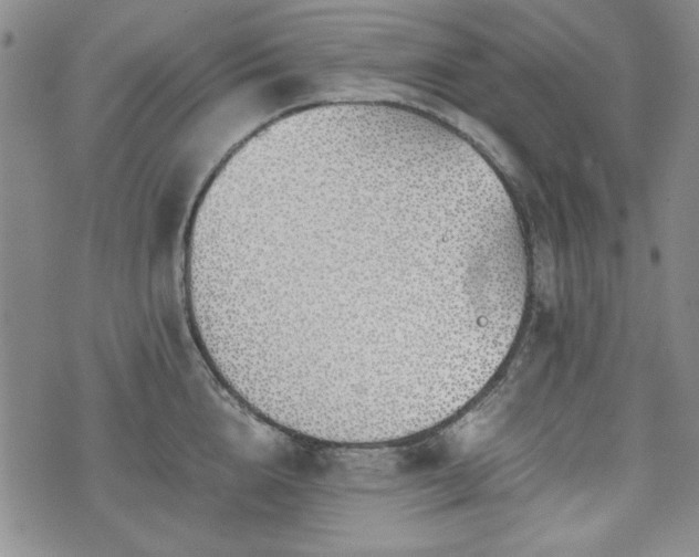 X0000073450856200608041026