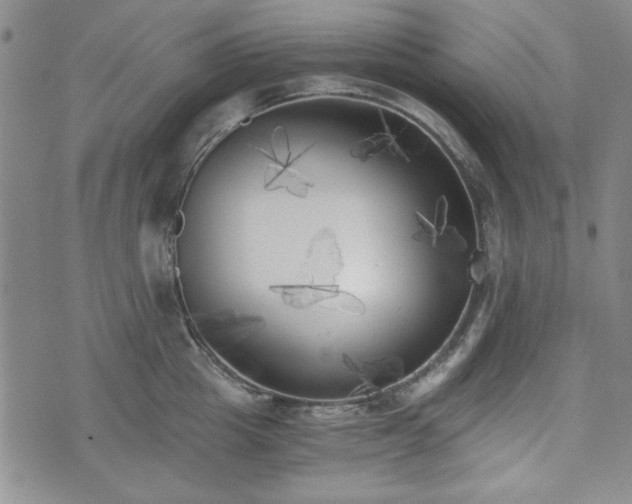 X0000073450857200608041026