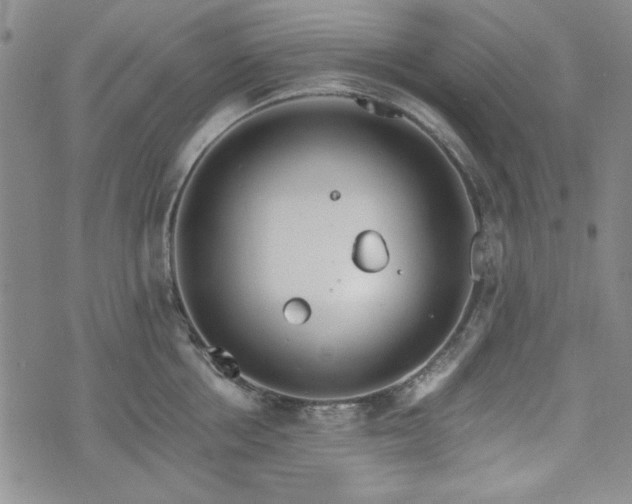 X0000073450858200608041026