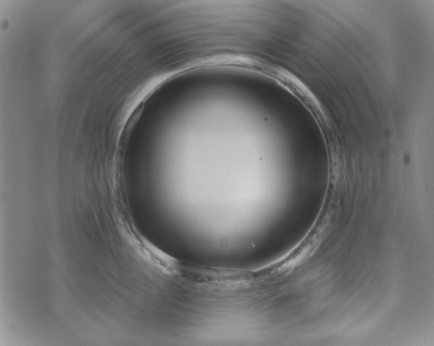 X0000073450860200608041026