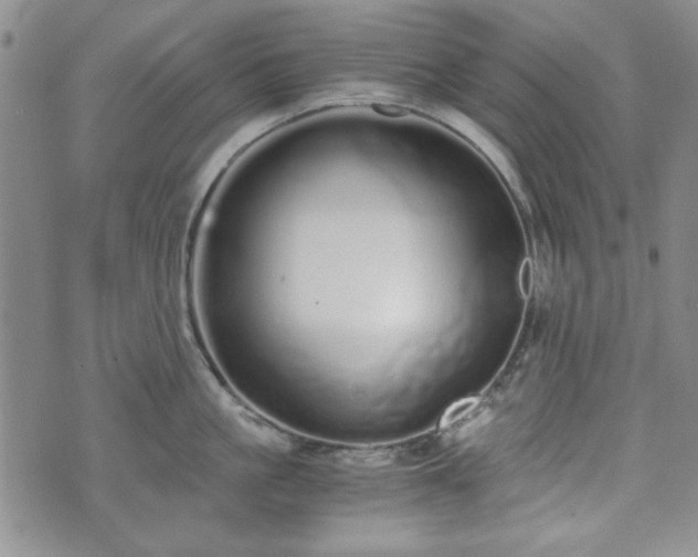 X0000073450861200608041026