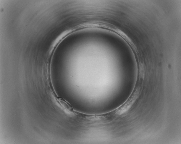 X0000073450862200608041026