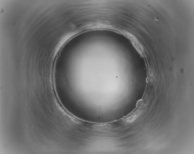 X0000073450863200608041026