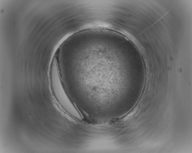 X0000073450864200608041026