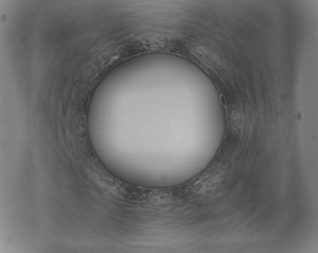 X0000073450865200608041025