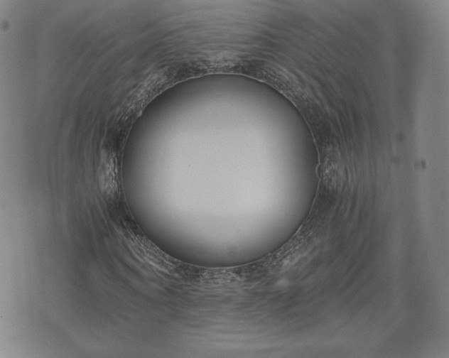 X0000073450866200608041025