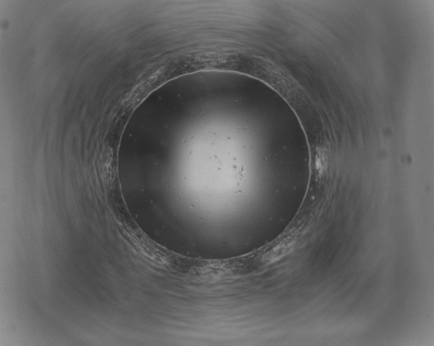 X0000073450867200608041025