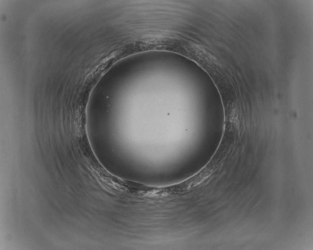 X0000073450868200608041025