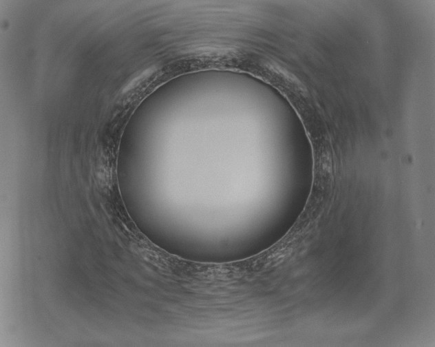 X0000073450869200608041025