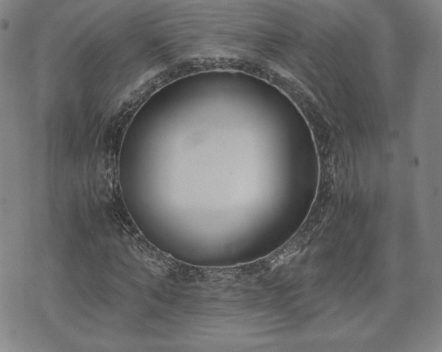 X0000073450870200608041025