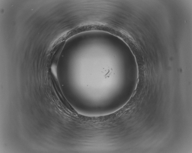 X0000073450872200608041025