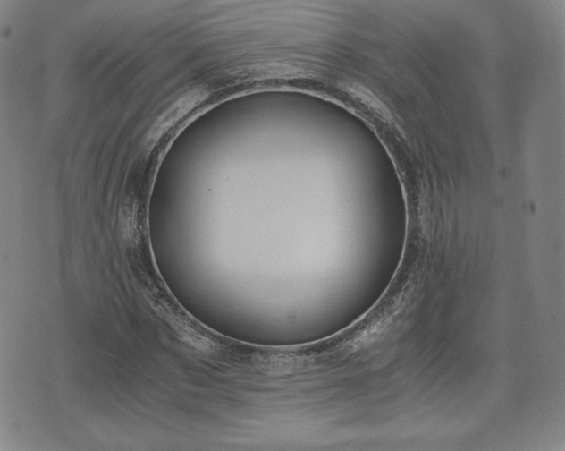 X0000073450873200608041025