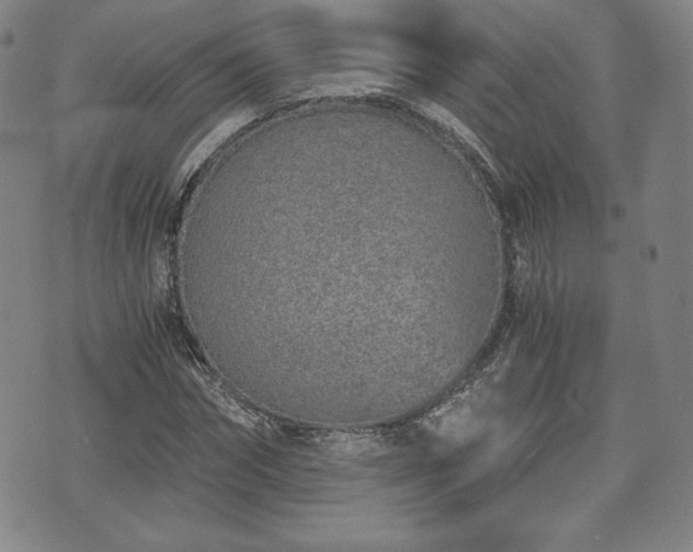 X0000073450874200608041025