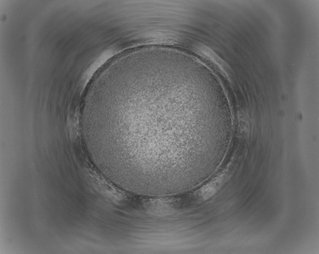 X0000073450875200608041025