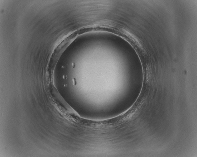 X0000073450876200608041025