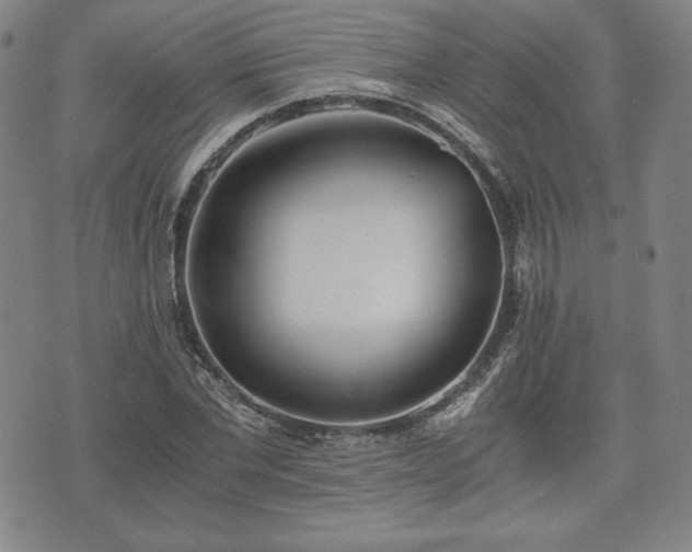 X0000073450877200608041025