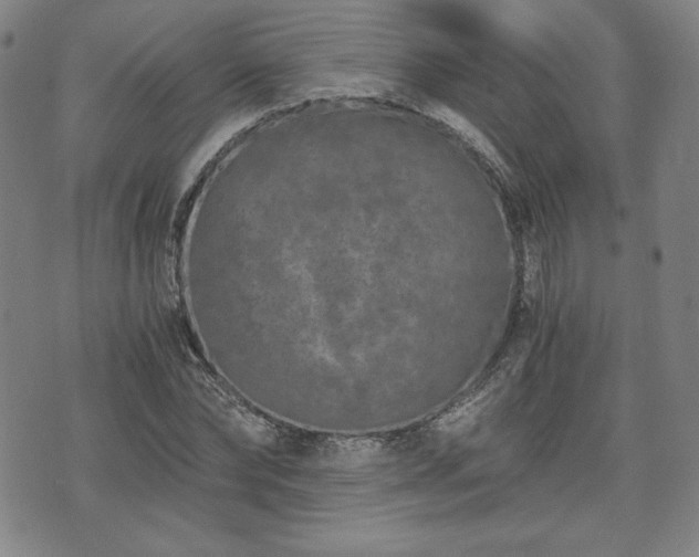 X0000073450878200608041025