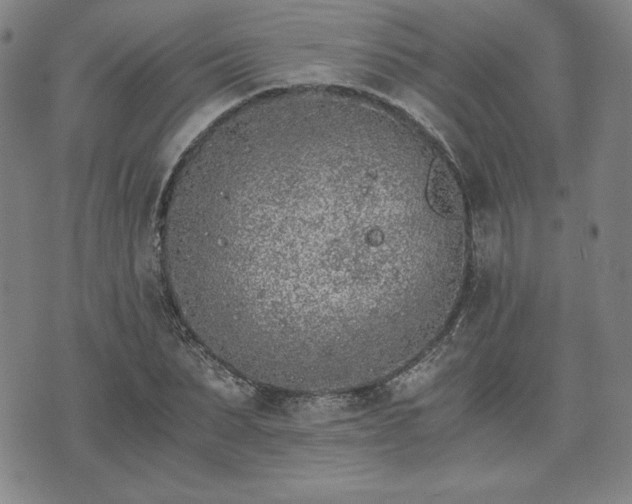 X0000073450879200608041025