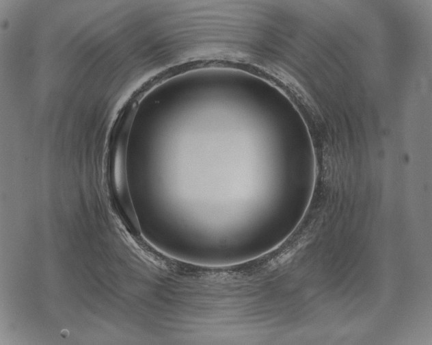 X0000073450880200608041025