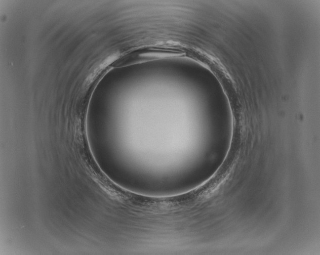 X0000073450881200608041025