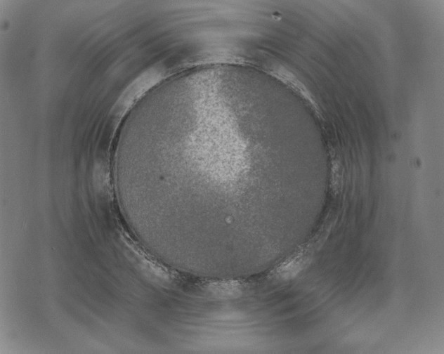 X0000073450882200608041025